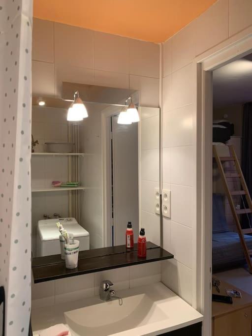 Charmant Studio Ax Les Thermes 阿克斯莱泰尔姆 外观 照片
